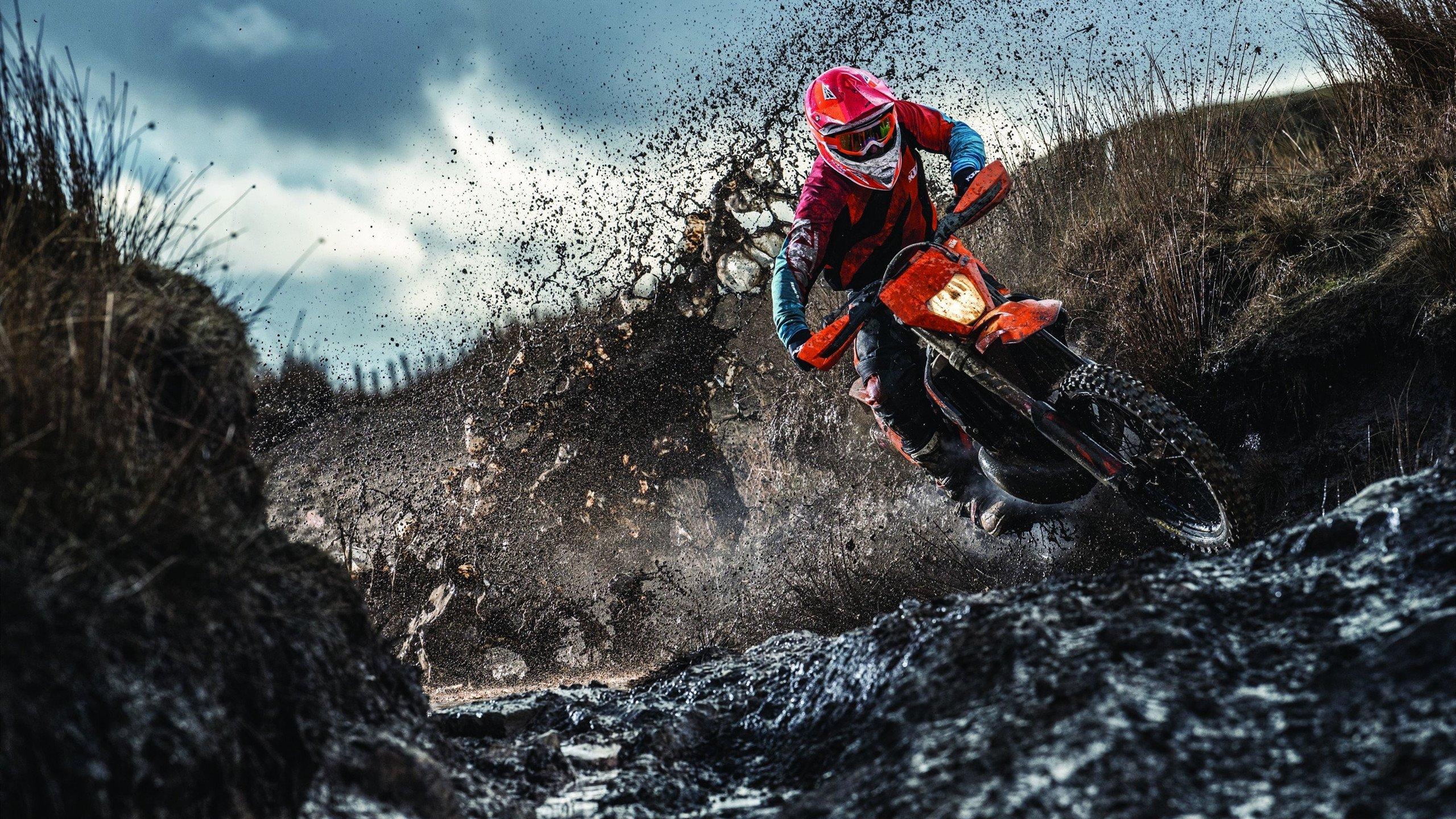 重庆狼队鏖战七局登顶荣耀之巅，时隔五年再夺KPL联赛冠军